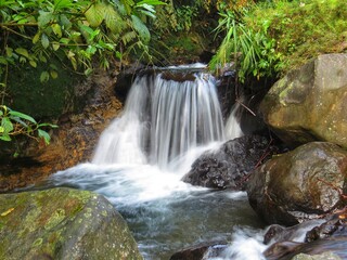 Small waterfall cascade flowing over rocks into a clear pool inside a lush tropical rainforest © DallihPF