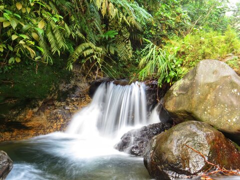 Small waterfall cascade flowing over rocks into a clear pool inside a lush tropical rainforest