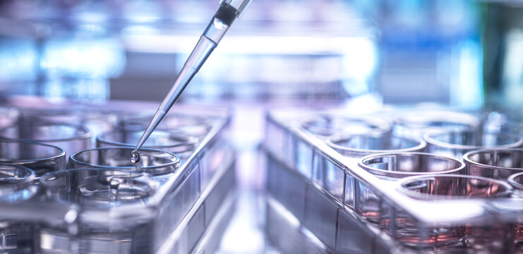 Close-up of sample being pipetted into microplate