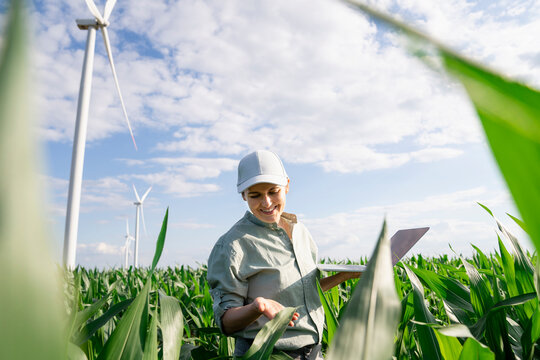 Happy agronomist examining plants at field on sunny day under cloudy sky