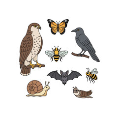 Obraz premium Cartoon Animal and Insect Illustration Set