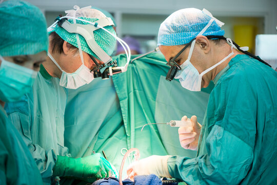 Heart surgeons during a heart operation