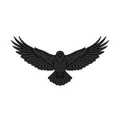 Obraz premium Majestic Black Raven Flying with Spread Wings
