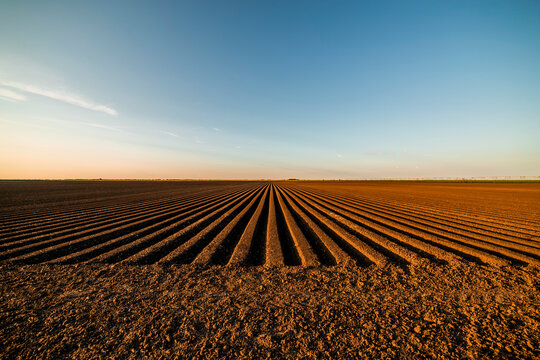 Agricultural land under blue sky at sunset