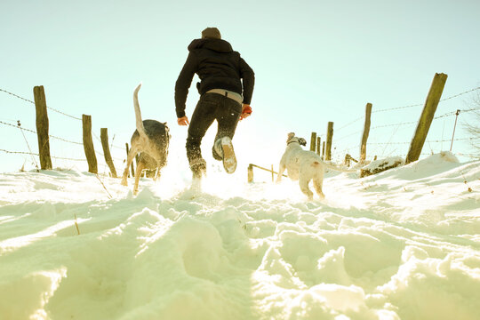 Germany, Bergisches Land, man running with dogs in winter landscape