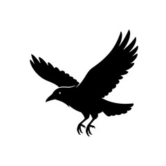 Obraz premium Black Crow Silhouette Flying on White Background