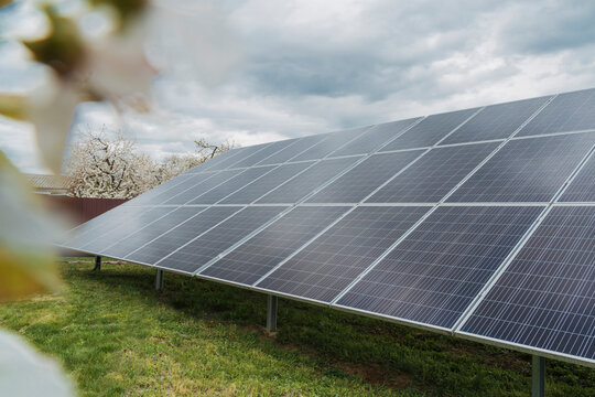 Solar panels on grass under sky