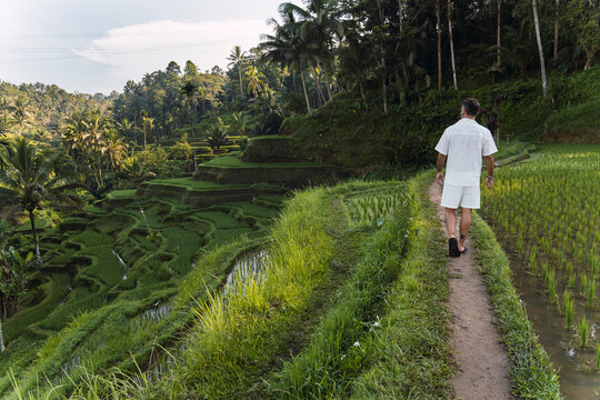 Happy tourist exploring lush green rice terrace in Bali Indonesia