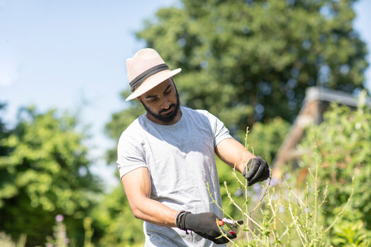 Bearded young man pruning twigs in the garden