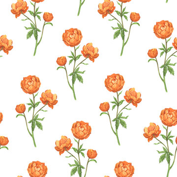 A vibrant watercolor pattern featuring orange globeflower