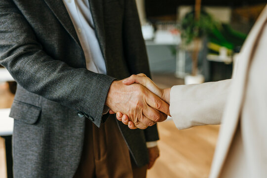 Businessman and businesswoman shaking hands in office meeting