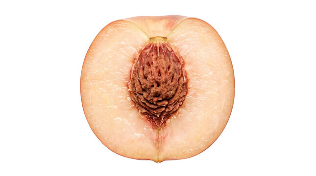 Close up view of a fresh halved peach showing the textured brown pit and juicy pale yellow fruit flesh isolated against a clean white background in bright natural studio lighting.