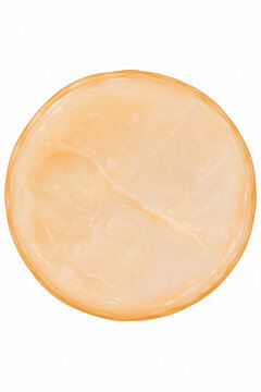 Vector illustration of scoby with top view