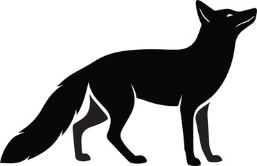 Fototapeta premium black silhouette of a kangaroo