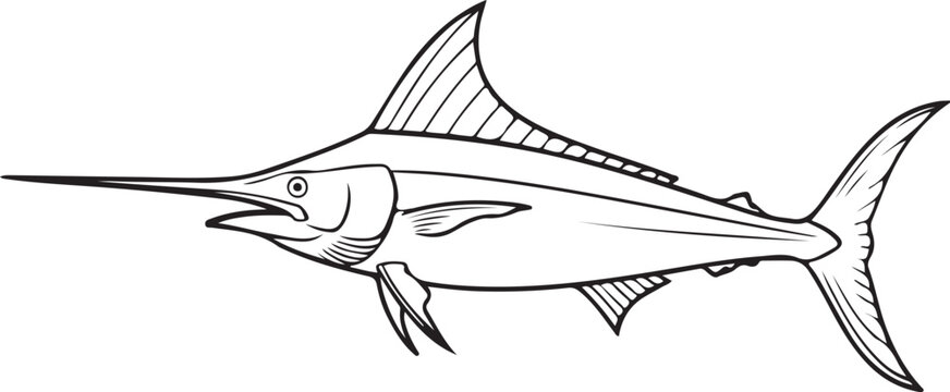 Black White Sailfish Marlin Line Art Ocean Fishing Illustration