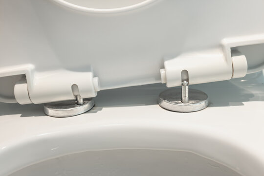 Toilet seat hinge rubber plug and screws is damage.