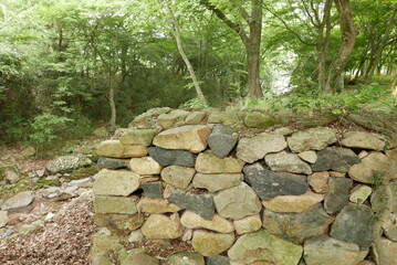 Fototapeta premium Detailed view of an old stone wall surrounding a forest area