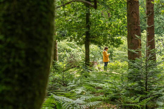 Woman exploring green forest using smartphone