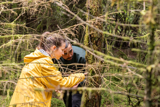 People exploring mossy forest investigating nature and ecology