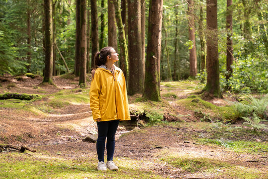 Woman in yellow raincoat exploring green forest