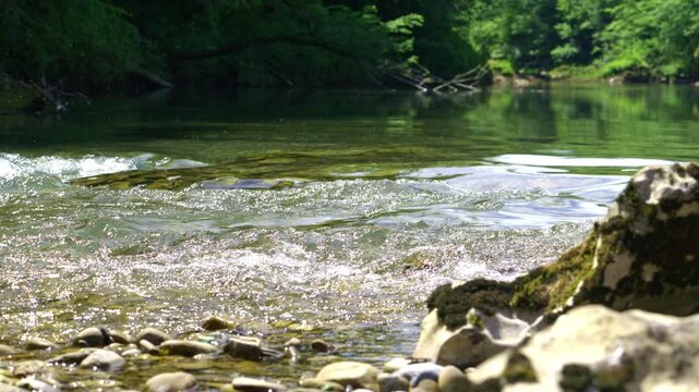 Clear waters of the Kolpa River flow gently over pebbles and rocks, creating sparkling ripples in a pristine Slovenian forest landscape.