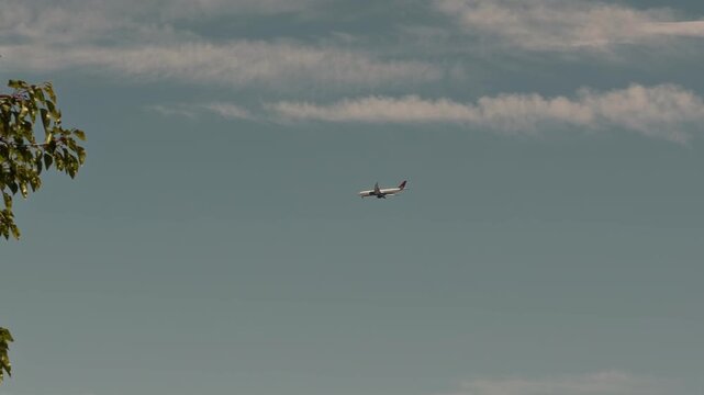 Slow motion shot tracking a passenger airplane as it crosses the sky and disappears behind gently moving tree branches.
