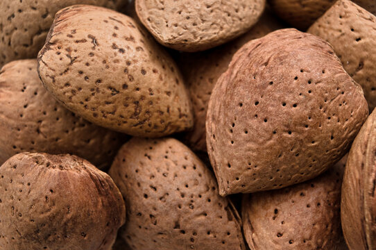 Extreme macro close up of a pile of whole unshelled almonds showing the pitted brown shell texture, full frame natural food background concept for healthy nutrition, raw nuts and snacking