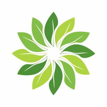 Green leaves arranged in a circular pattern