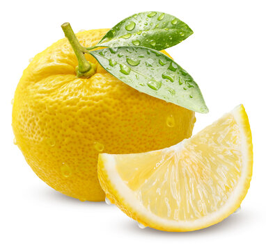 Kochi Yuzu orange isolated on white background, Yellow Yuzu Orange fruit isolated on white background PNG File.