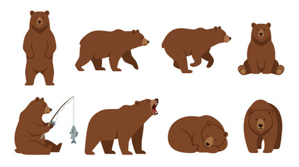 Fototapeta premium Set of brown bear characters in various poses and actions isolated on a white background.