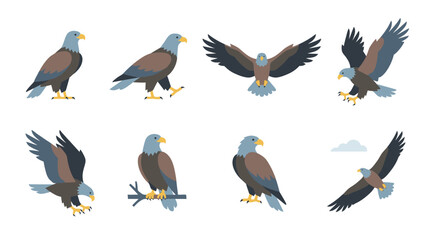 Obraz premium Set of flat vector illustrations featuring bald eagles in various poses and flight positions.