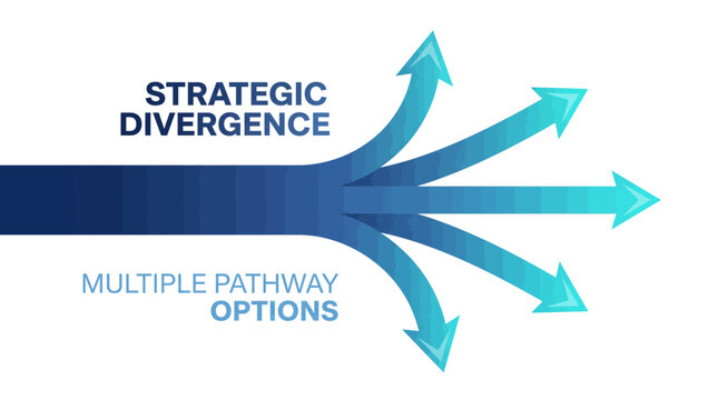 Multiple pathway options illustrate strategic divergence with arrows