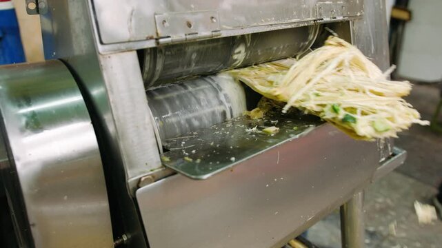 Sugarcane juice extractor machine pressing fresh stalks to make a traditional sweet drink in a street food market in vietnam