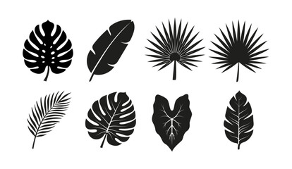 Tropical leaves silhouette vector set of monstera palm and banana leaf icons with transparent background,Tropical leaves and monstera leaf vector illustration png © stock9999