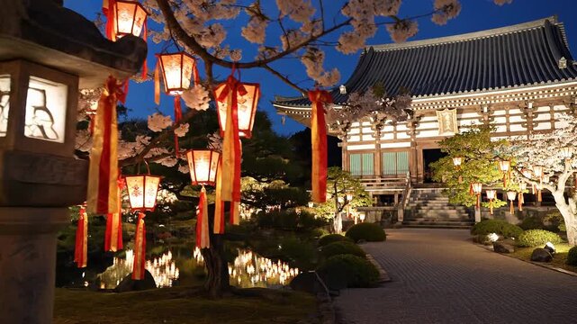 Illuminated paper lanterns and red ribbons adorn a blooming cherry tree at dusk