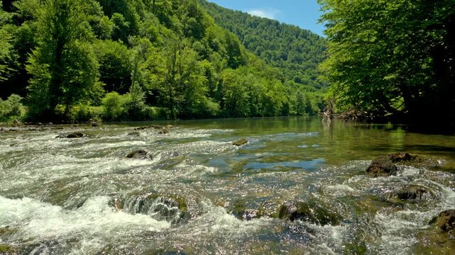 Clear water flows through the Kolpa River in Slovenia, creating sparkling currents around rocks amid a lush green forest landscape.