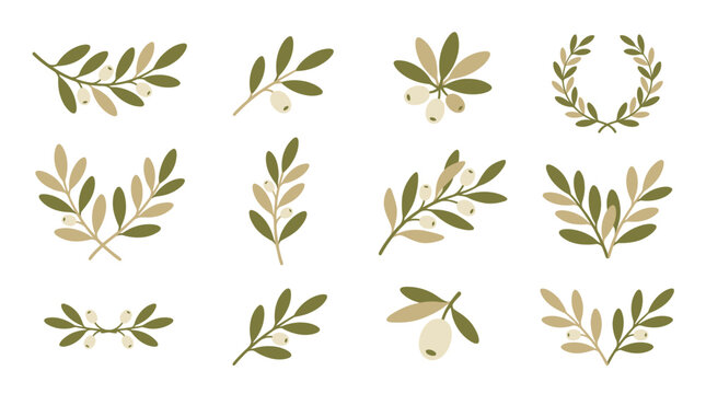 Collection of various green leaf branches.