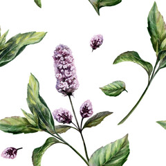Mint seamless pattern watercolor illustration. Mentha medicinal herb blossom for refreshing dental care pharmacy branding, cooling remedy packaging, tonic tea design, organic herbal wellness print © AnKa