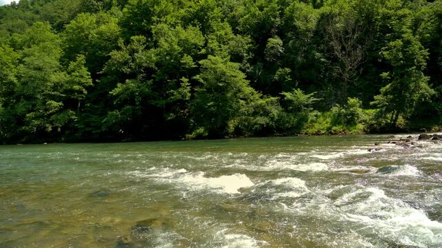 Tracking shot along the Kolpa River follows the flowing current through sparkling rapids and lush forest scenery on the natural border of Slovenia and Croatia.