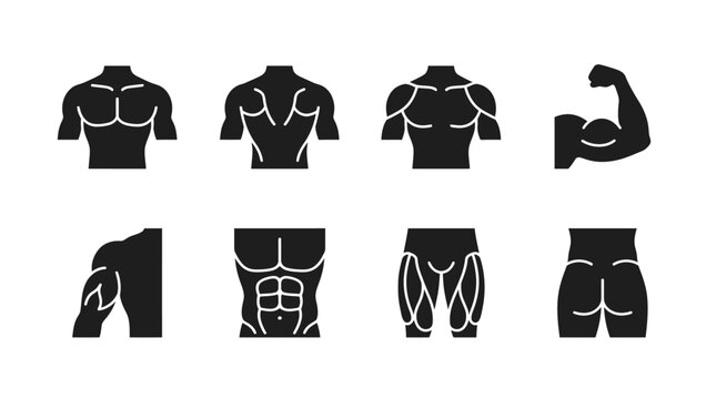 Muscle Group Workout Icons &ndash; Minimal Black and White Design Representing Fitness, Strength, and Body Training for Creative, Athletic, and Educational Projects