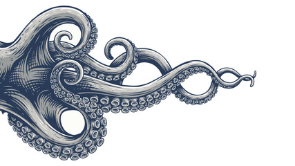 Tentacles of an octopus hand drawn vector illustration in engraving technique isolated on white background for marine, nautical, and vintage scientific design projects © Lucky art