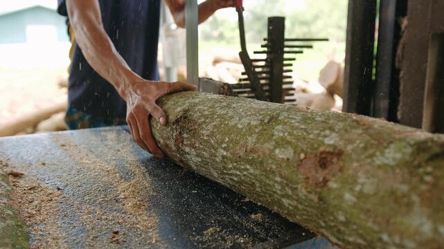 Carpenter cutting tree log with a band saw at an sawmill creating wood planks in a rural woodworking shop
