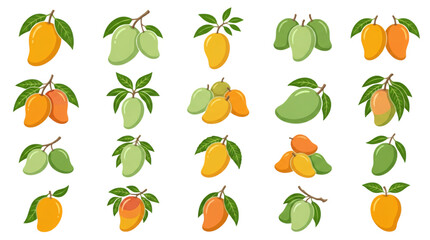 Obraz premium Hanging Mango Fruits on Tree Branches Vector Collection with Tropical Botanical Elements Isolated on White