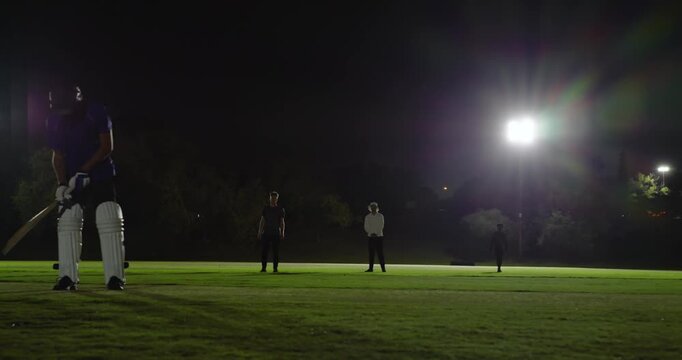 Diverse teammates appealing and celebrating wicket after bowler bowling, floodlights