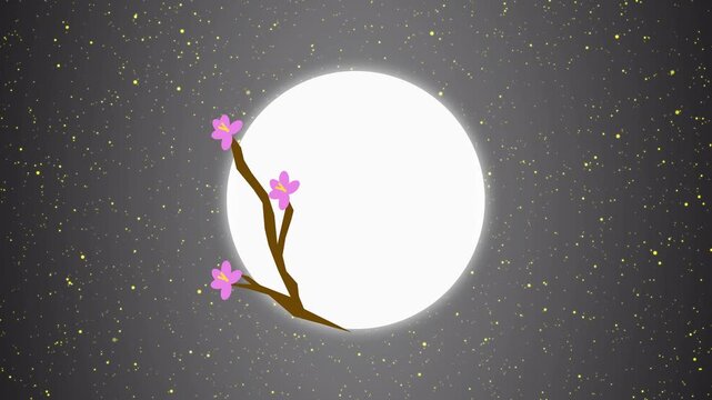 Cherry blossom branch in front of white circle with stars. Beautiful cherry blossom branch in front of white circle for evening sky. Serene cherry blossom branch.