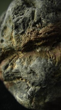 Vertical camera glide across rugged rock surface