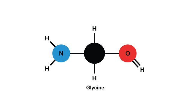 Chemical molecular structure of glycine amino acid represented with color-coded atoms of nitrogen, carbon, oxygen, and hydrogen.