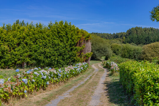 Rural Camino de Santiago