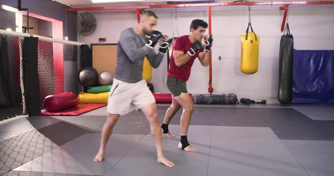 Diverse male training partners wearing gloves practicing jabs and footwork in dojo