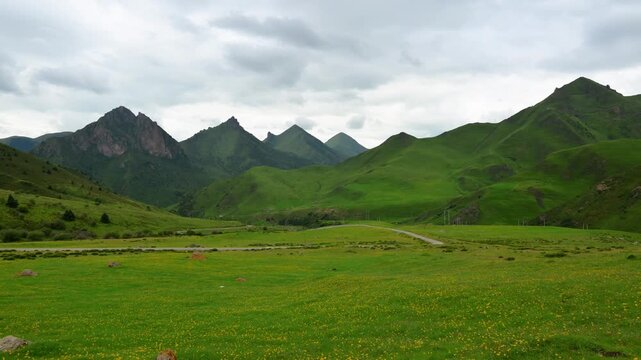 Lush Green Grassland with Yellow Wildflowers and Jagged Mountains in Gannan, Gansu Province, China